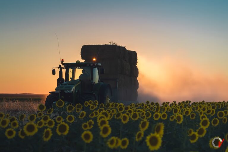 futuro de la agricultura en españa